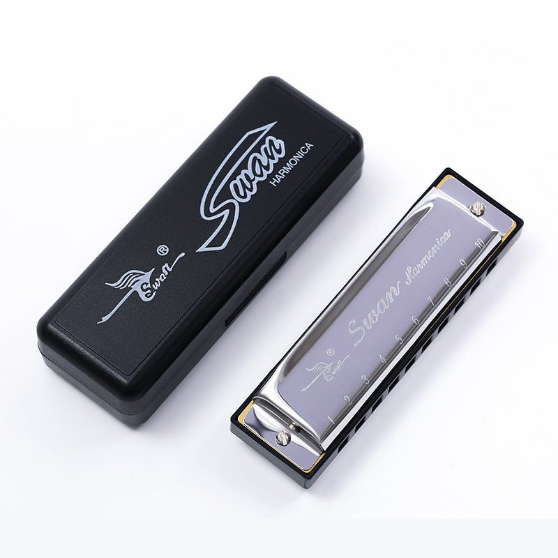 10 Holes C Tune Key Diatonic Harmonica Gaita Beginner Kids Adult Master Xmas Gift Party Goodie Bag
