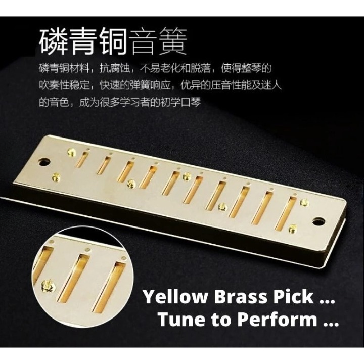 10 Holes C Tune Key Diatonic Harmonica Gaita Beginner Kids Adult Master Xmas Gift Party Goodie Bag
