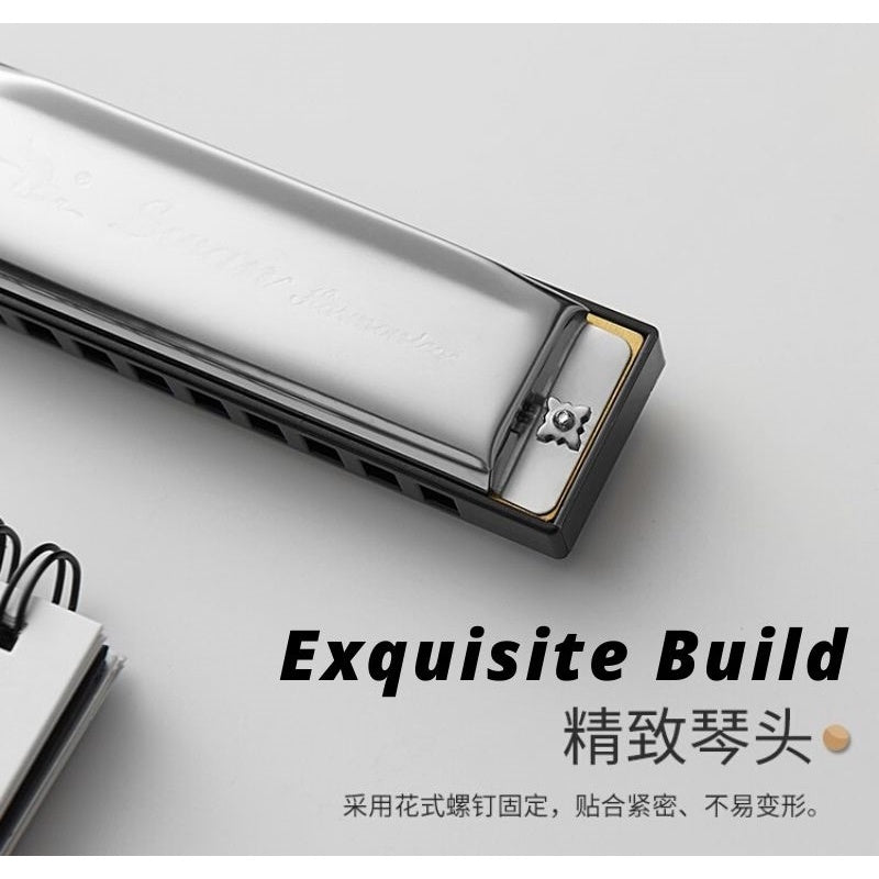 10 Holes C Tune Key Diatonic Harmonica Gaita Beginner Kids Adult Master Xmas Gift Party Goodie Bag