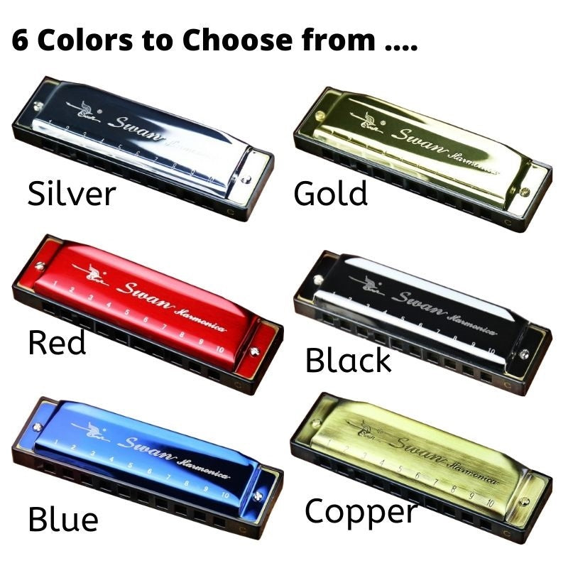 10 Holes C Tune Key Diatonic Harmonica Gaita Beginner Kids Adult Master Xmas Gift Party Goodie Bag