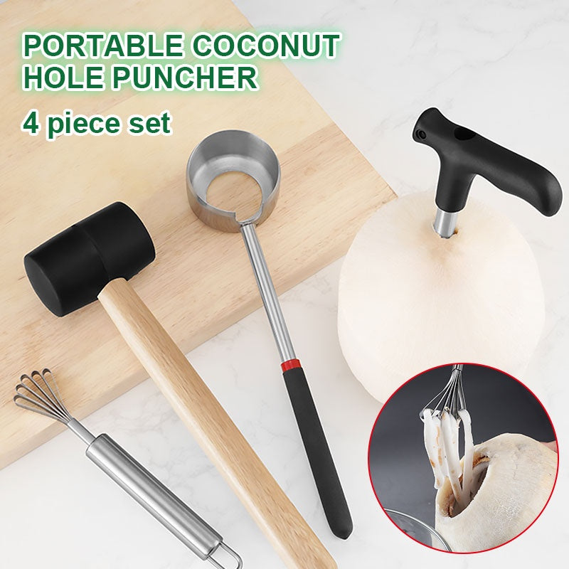 4Pcs Stainless Steel Coconut Opener Set Meats Removal with Hammer Hole Puncher Planer Kitchen Tool