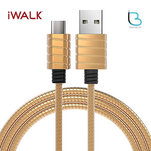 iWalk Metallic Fast Charging Sync Cable Charger Data Connector Type C 2A TypeC
