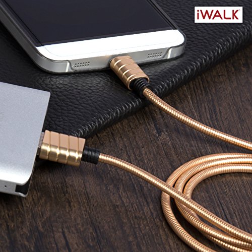 iWalk Metallic Fast Charging Sync Cable Charger Data Connector Type C 2A TypeC