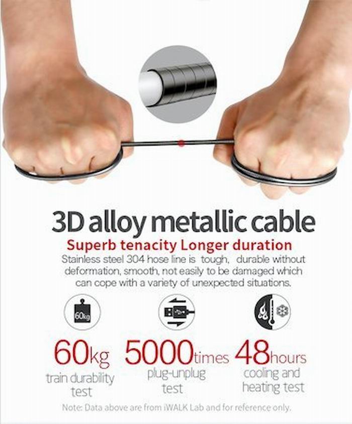 iWalk Metallic Fast Charging Sync Cable Charger Data Connector Type C 2A TypeC