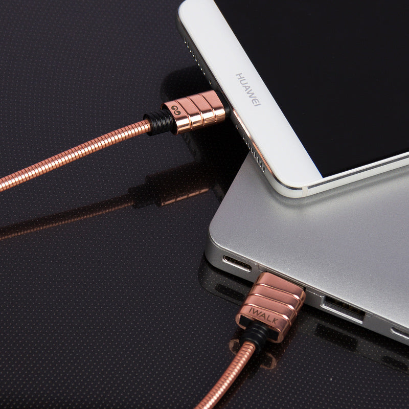 iWalk Metallic Fast Charging Sync Cable Charger Data Connector Type C 2A TypeC