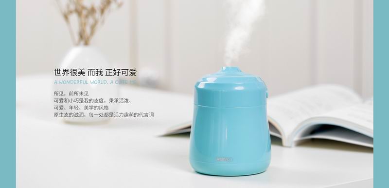 Remax RT-A210 Bean Mini Humidifier Air Purifier Diffuser Mist Spray No Radiation