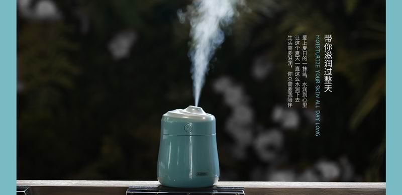 Remax RT-A210 Bean Mini Humidifier Air Purifier Diffuser Mist Spray No Radiation