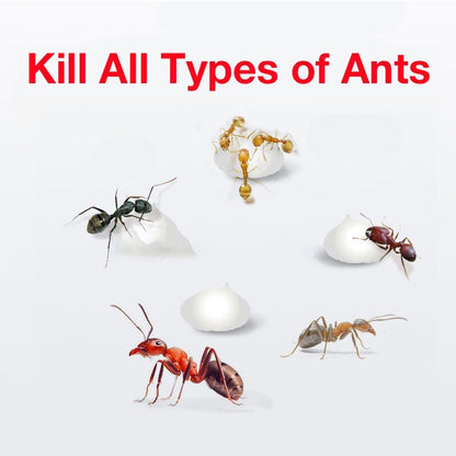 Ant Gel Bait Killer Guards Poison Pest Gel Advanced Ant Gel Bait Fast & Effective Ant Colony Killer