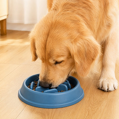 Pet Slow Feeder Bowl for Cats & Dogs