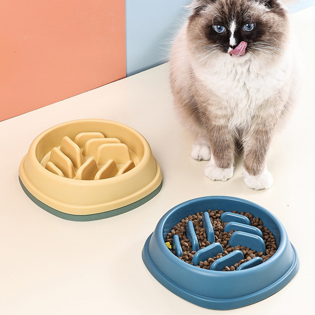 Pet Slow Feeder Bowl for Cats & Dogs