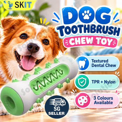 Dog Toothbrush Chew Toy – TPR Nylon Dental Toy for Dogs
