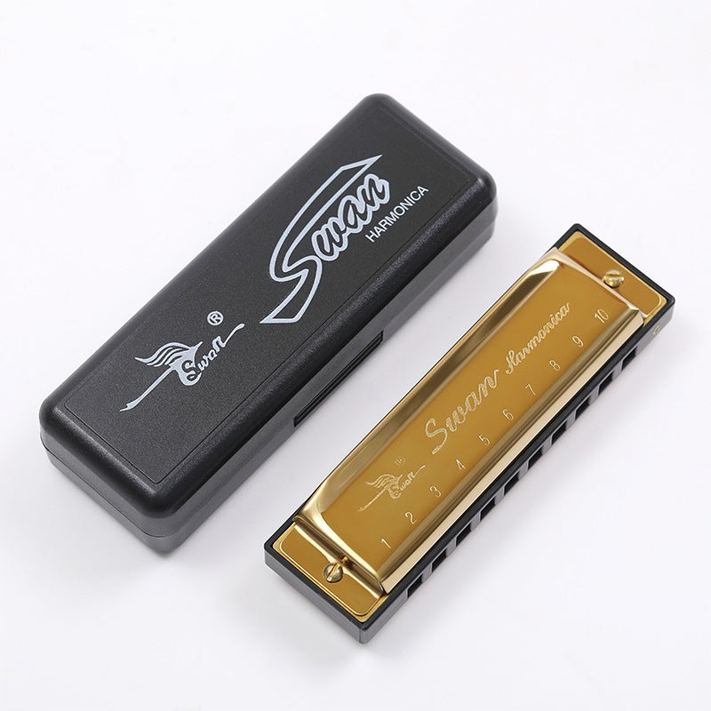 10 Holes C Tune Key Diatonic Harmonica Gaita Beginner Kids Adult Master Xmas Gift Party Goodie Bag