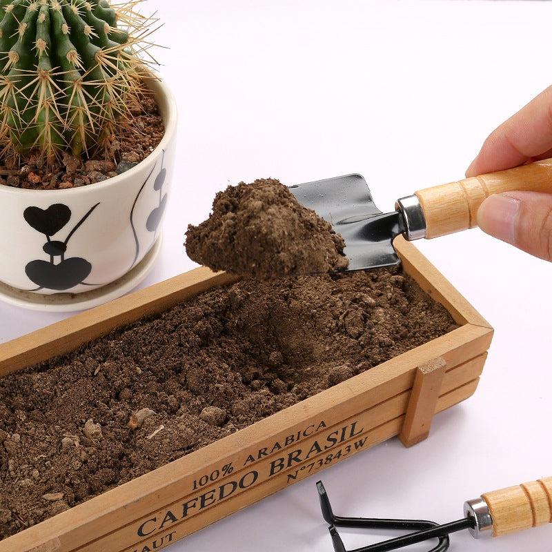 3pcs Set Mini Garden Tools Kit Plant Gardening Shovel Spade Rake Wooden Handle Gardening Hand Tools