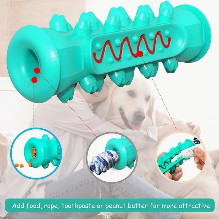 Dog Toothbrush Chew Toy – TPR Nylon Dental Toy for Dogs