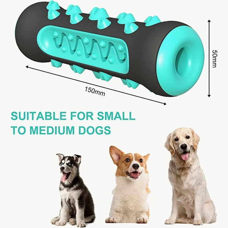 Dog Toothbrush Chew Toy – TPR Nylon Dental Toy for Dogs