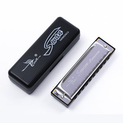 10 Holes C Tune Key Diatonic Harmonica Gaita Beginner Kids Adult Master Xmas Gift Party Goodie Bag
