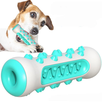 Dog Toothbrush Chew Toy – TPR Nylon Dental Toy for Dogs