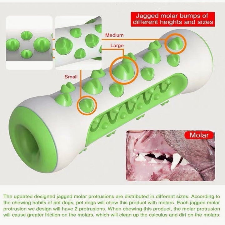 Dog Toothbrush Chew Toy – TPR Nylon Dental Toy for Dogs
