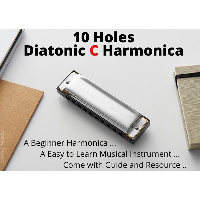 10 Holes C Tune Key Diatonic Harmonica Gaita Beginner Kids Adult Master Xmas Gift Party Goodie Bag