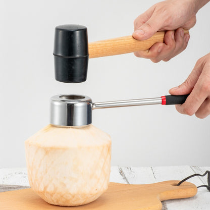 4Pcs Stainless Steel Coconut Opener Set Meats Removal with Hammer Hole Puncher Planer Kitchen Tool