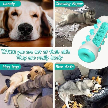 Dog Toothbrush Chew Toy – TPR Nylon Dental Toy for Dogs
