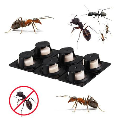 【SKIT SG】Japan original Earth-Chem Ant Catch Room Trap Killer Non-toxic Safe Odourless