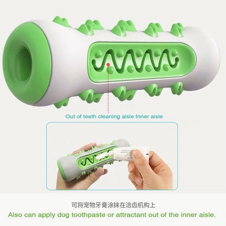 Dog Toothbrush Chew Toy – TPR Nylon Dental Toy for Dogs