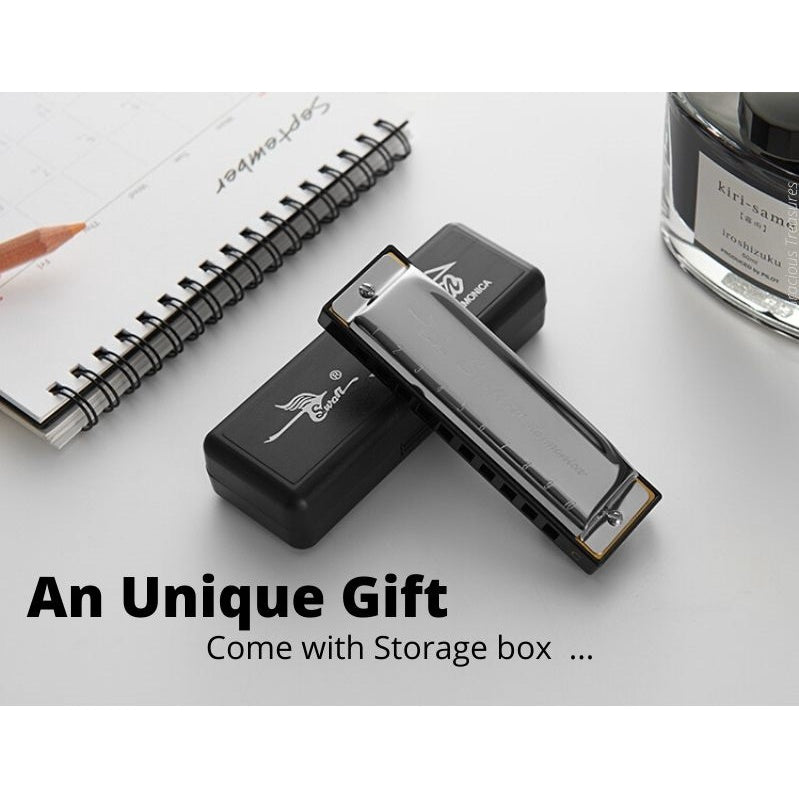10 Holes C Tune Key Diatonic Harmonica Gaita Beginner Kids Adult Master Xmas Gift Party Goodie Bag