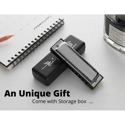 10 Holes C Tune Key Diatonic Harmonica Gaita Beginner Kids Adult Master Xmas Gift Party Goodie Bag