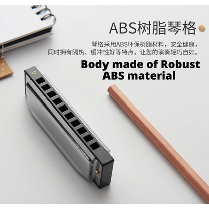 10 Holes C Tune Key Diatonic Harmonica Gaita Beginner Kids Adult Master Xmas Gift Party Goodie Bag