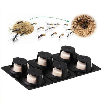 【SKIT SG】Japan original Earth-Chem Ant Catch Room Trap Killer Non-toxic Safe Odourless