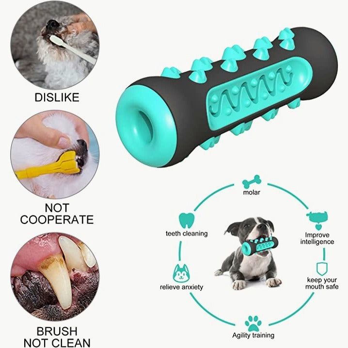 Dog Toothbrush Chew Toy – TPR Nylon Dental Toy for Dogs