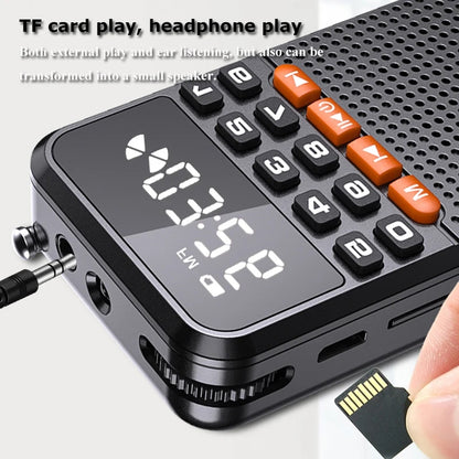 Rolton T1 Portable FM Radio Speaker Elderly MP3 Song Mini Player Large Display Bluetooth TF Card