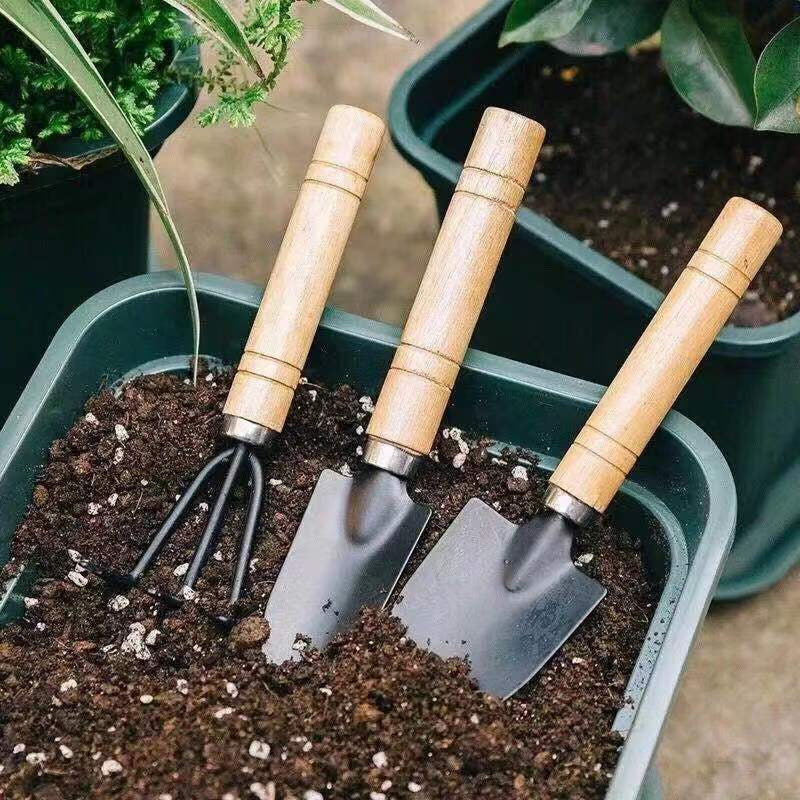 3pcs Set Mini Garden Tools Kit Plant Gardening Shovel Spade Rake Wooden Handle Gardening Hand Tools